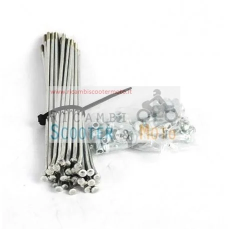 Kit Raggi Cerchio Ruota Posteriori E Nipples Originale Malaguti Xsm 50 Spedizione Gratuita