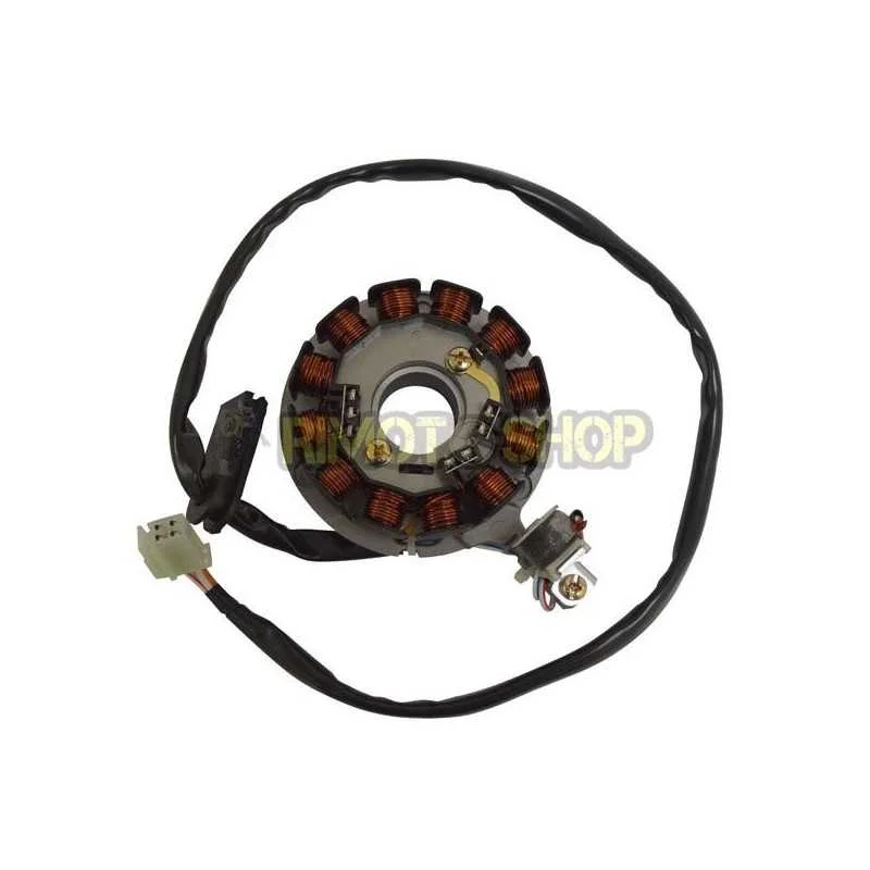 YAMAHA DT 50 AM6 07-12 STATORE Miglior Prezzo