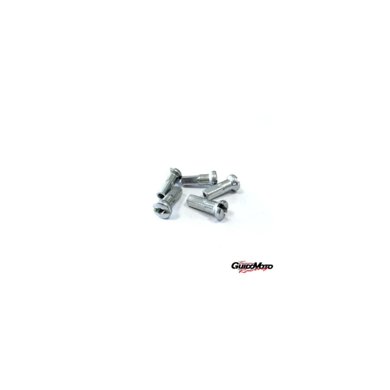 21350F02 NIPPLES RAGGI RUOTE D. 3,5 MOTOCICLI ALPINA (5 pz) Reso Gratuito