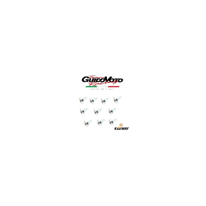 VITI CARENE 4,2X13 ZINCATE 10 PEZZI SCOOTER MOTOCICLI KEEWAY B0507420130H Offerta