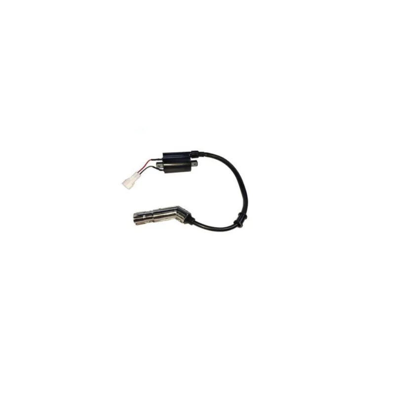 1184200-104007 BOBINA ACCENSIONE EFI ALTA TENSIONE MOTOCICLI ZONTES 125>310 CC. Di Tendenza